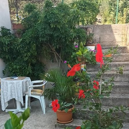 Flash Apartment Sibenik Ngoại thất bức ảnh